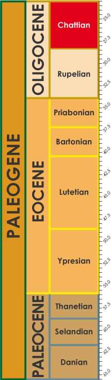 Chattian timescale