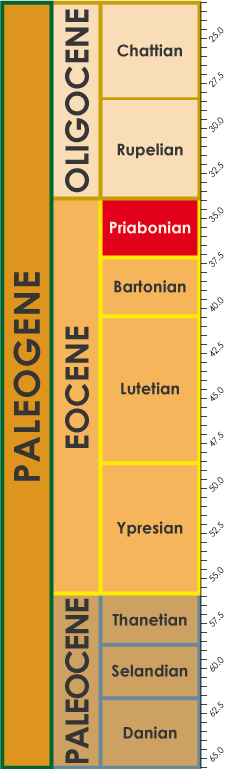 Priabonian_timescale