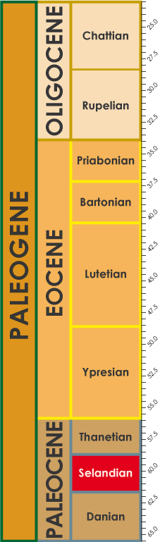 Selandian timescale